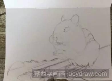 彩铅画动物教程：教你画小松鼠