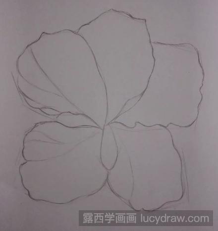 零基础彩铅画教程：教你画一朵小花