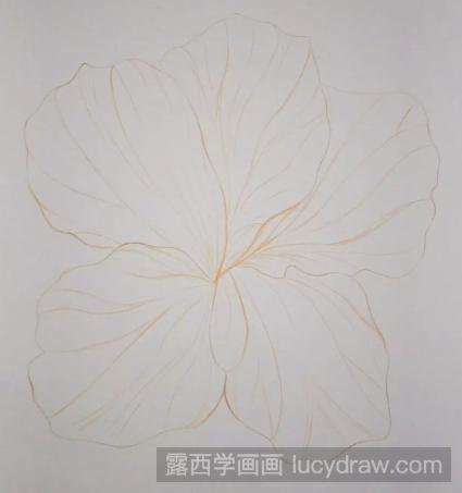 零基础彩铅画教程：教你画一朵小花