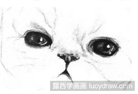 素描教程：教你画小猫咪