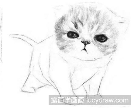 素描教程：教你画小猫咪