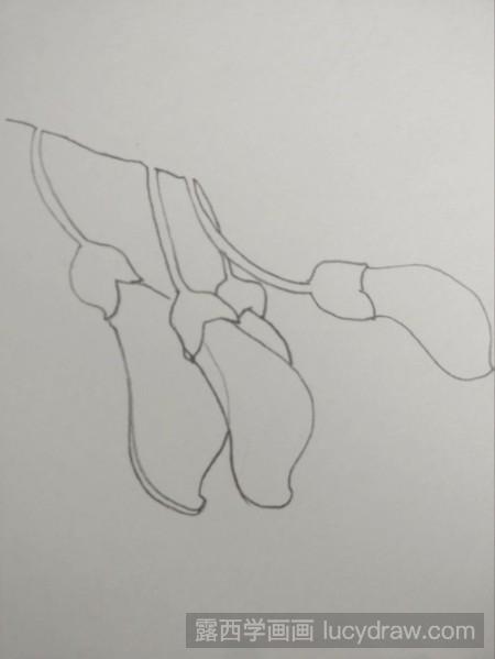 刺桐花的画法图片