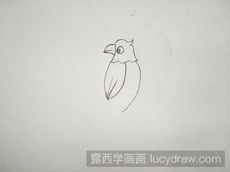 儿童画鹦鹉怎么画