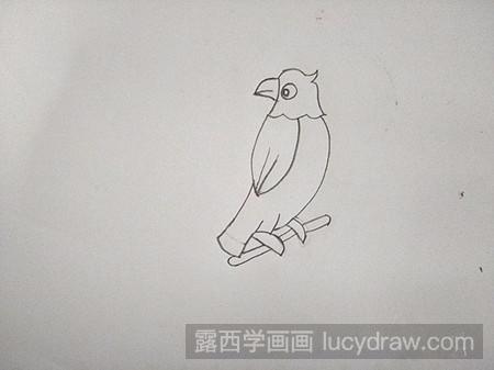 儿童画鹦鹉怎么画