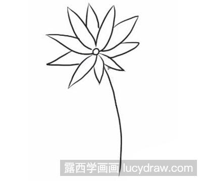 简笔画教程：教你画野菊