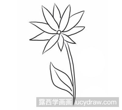 简笔画教程：教你画野菊