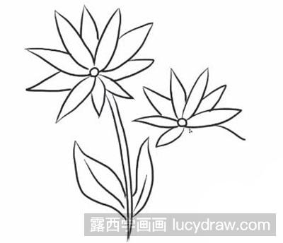 简笔画教程：教你画野菊