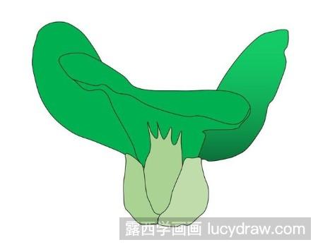 教你画小油菜