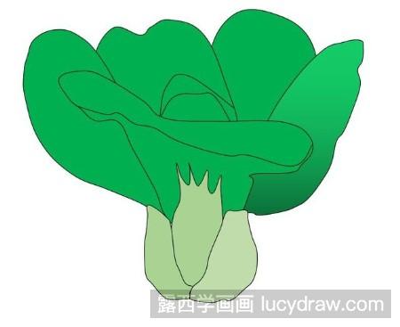 教你画小油菜