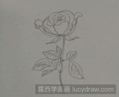 怎么画玫瑰花