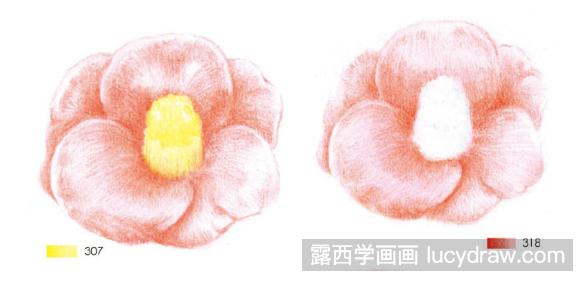 山茶花儿童画教程