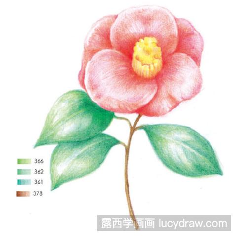 山茶花儿童画教程