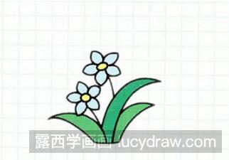 兰花简笔画步骤教程