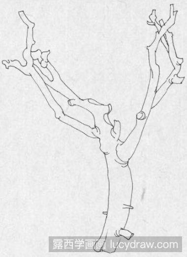 钢笔画简单的树枝步骤教程