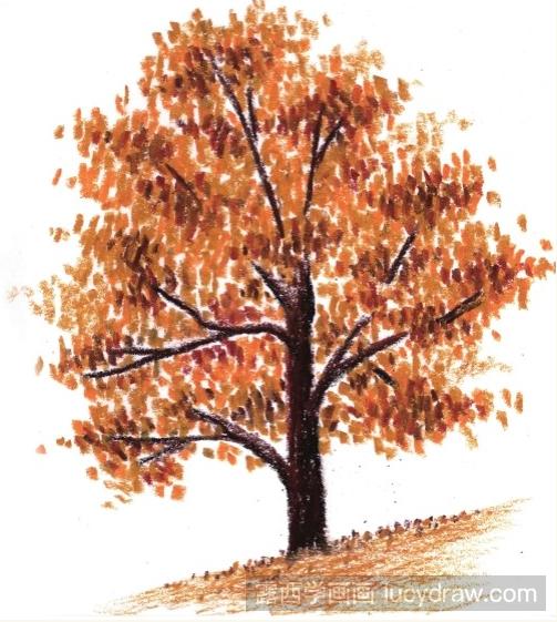 儿童画秋天的大树步骤教程