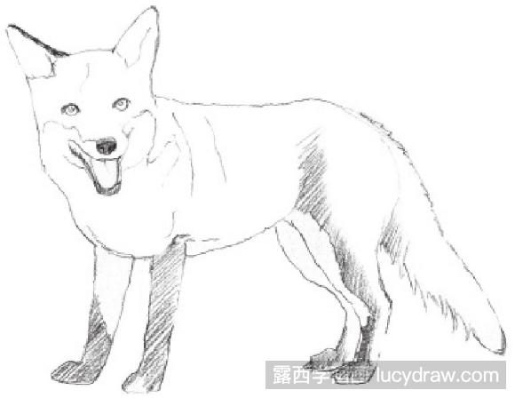 白狐铅笔画图片