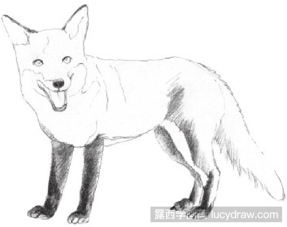 素描画九尾白狐图片