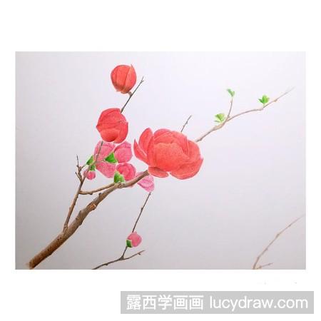 彩铅画红梅报春怎么画