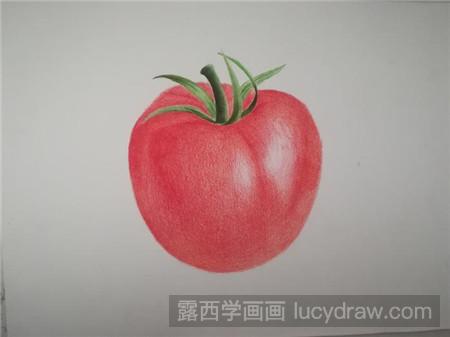 彩铅画西红柿怎么画