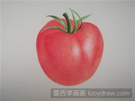 彩铅画西红柿怎么画