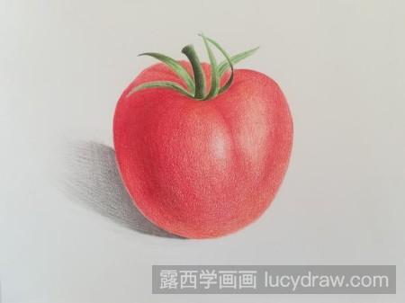 彩铅画西红柿怎么画