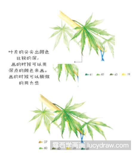 彩铅画教程：怎么画风铃