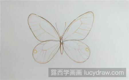 彩铅画玫瑰水晶蝴蝶怎么画