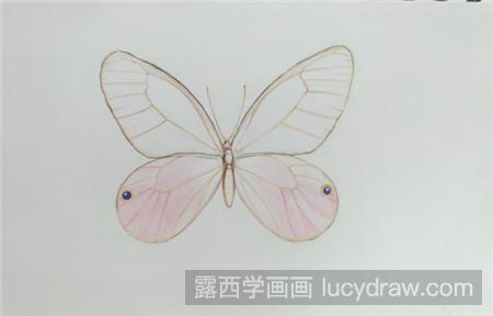 彩铅画玫瑰水晶蝴蝶怎么画