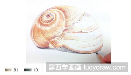 儿童画教程：怎么画海螺