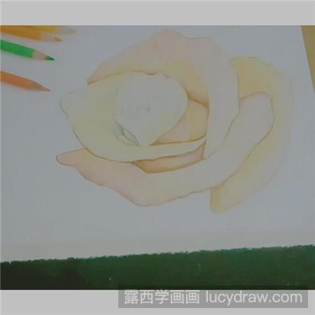 彩铅画含苞欲放的花怎么画
