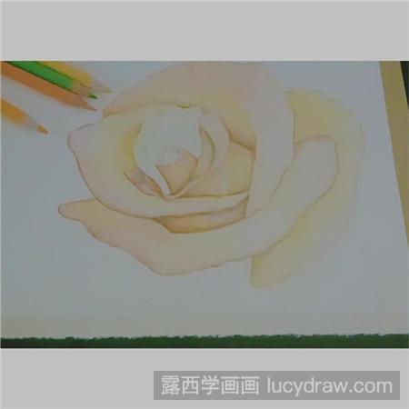 彩铅画含苞欲放的花怎么画