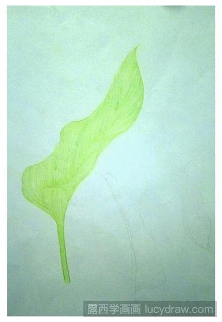 简单的绿叶彩铅画怎么画