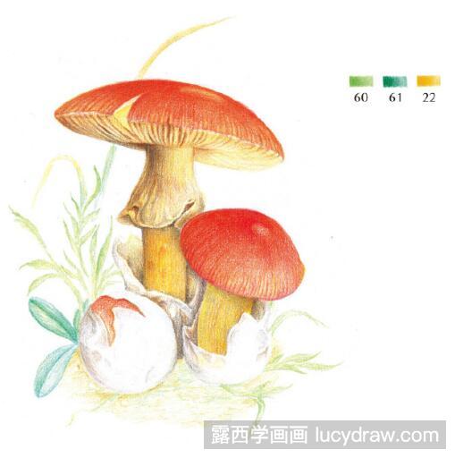 彩铅画教程：怎么画橙盖鹅膏菌