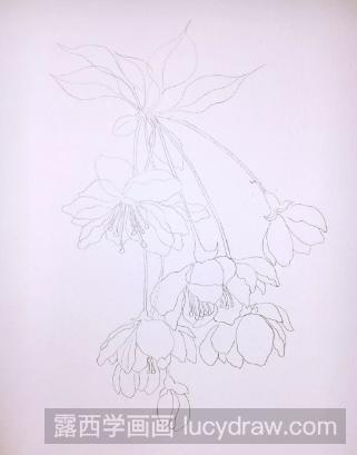 水彩花卉教程：垂丝海棠的画法