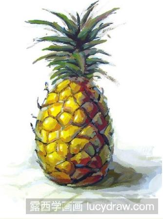 水粉静物教程：菠萝的画法