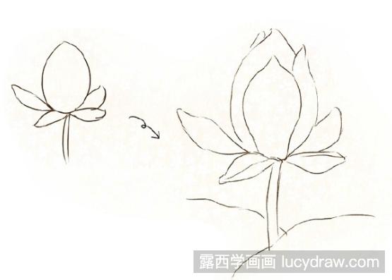 儿童画教程：怎么画荷花