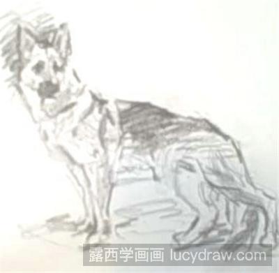 素描教程：怎么画狗