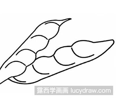 简笔画教程:四季豆的画法