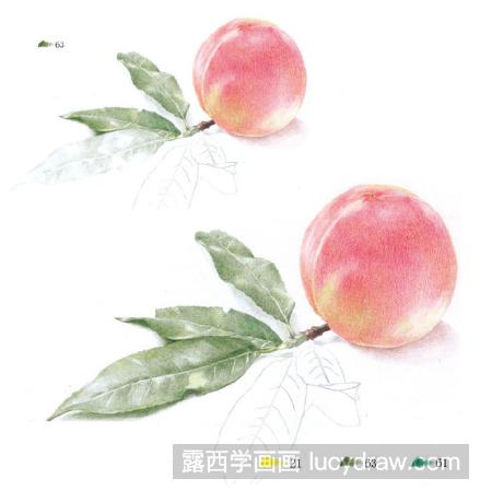 彩铅画教程：怎么画桃子