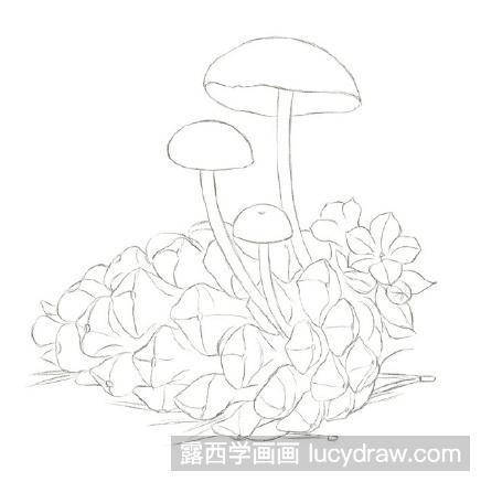 彩铅画教程：怎么画松果菌