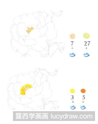 水彩画教程：怎么画芍药花