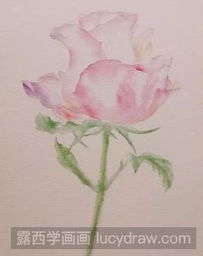教你水彩画一朵娇艳的玫瑰花
