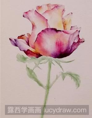 教你水彩画一朵娇艳的玫瑰花