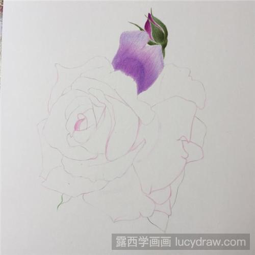 别样的月季花彩铅画教程