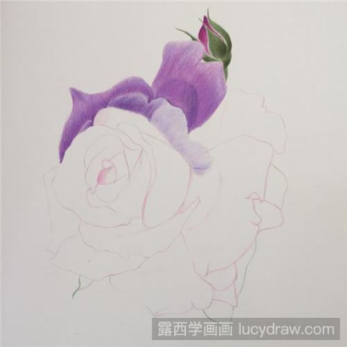 别样的月季花彩铅画教程