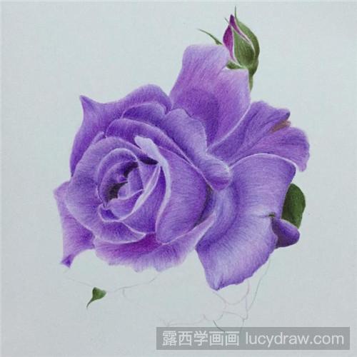 别样的月季花彩铅画教程