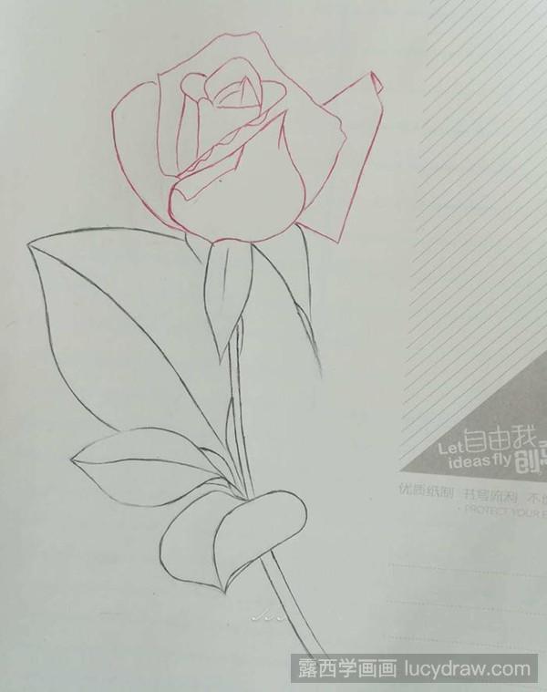 钢笔画教程：一起用圆珠笔画玫瑰
