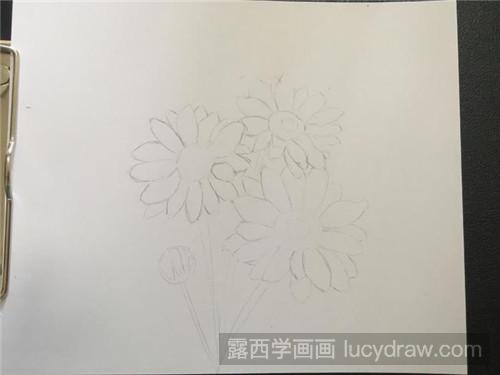 彩铅画教程：森林精灵—雏菊