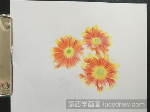 彩铅画教程：森林精灵—雏菊