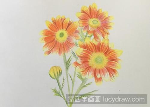 彩铅画教程：森林精灵—雏菊